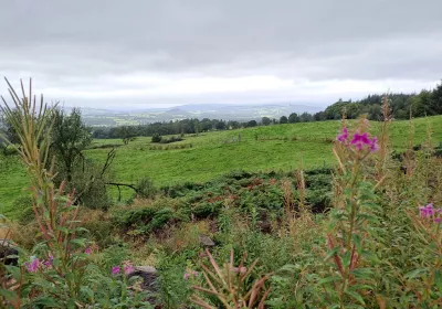 #E2 Drymen - Rowardennan